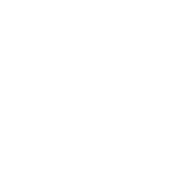 icone telephone blanc - EL evenement